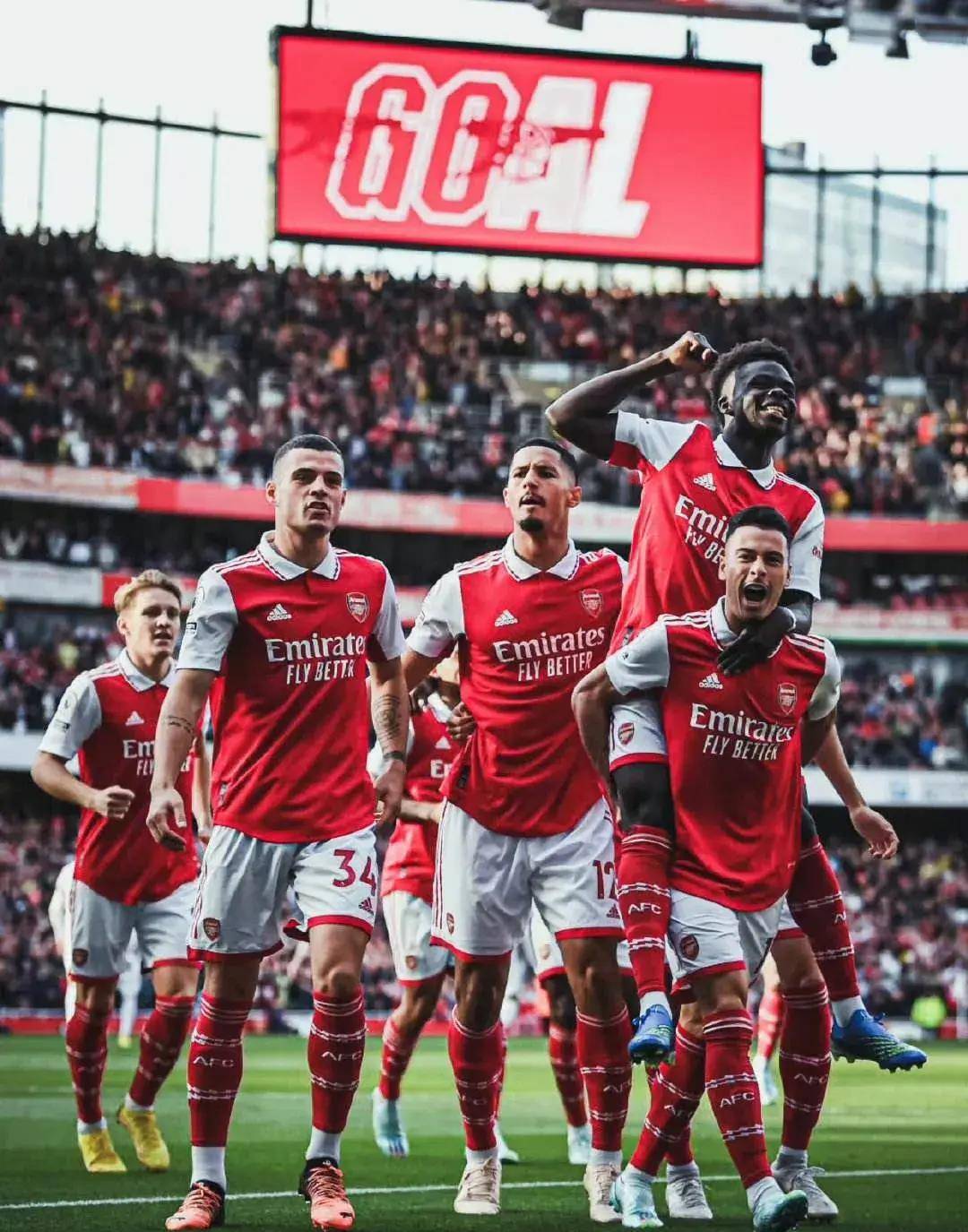 训练场上的 训练场上的